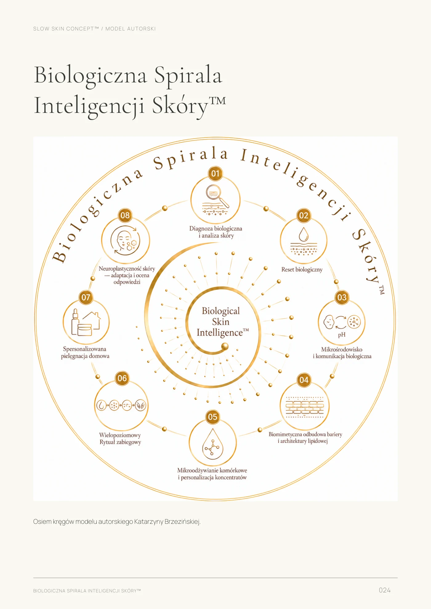 Autorski model Spirali — strona 24 ebooka Biologiczna Spirala Inteligencji Skóry™